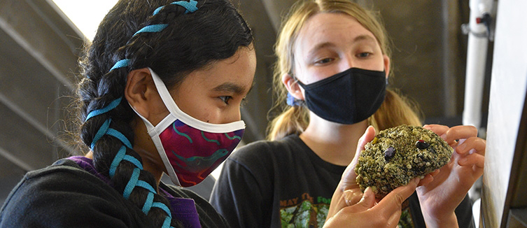 students at Bodega Bay lab