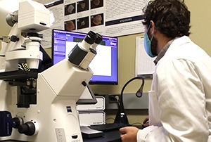 Person sitting in front of computer with microscope next to them.