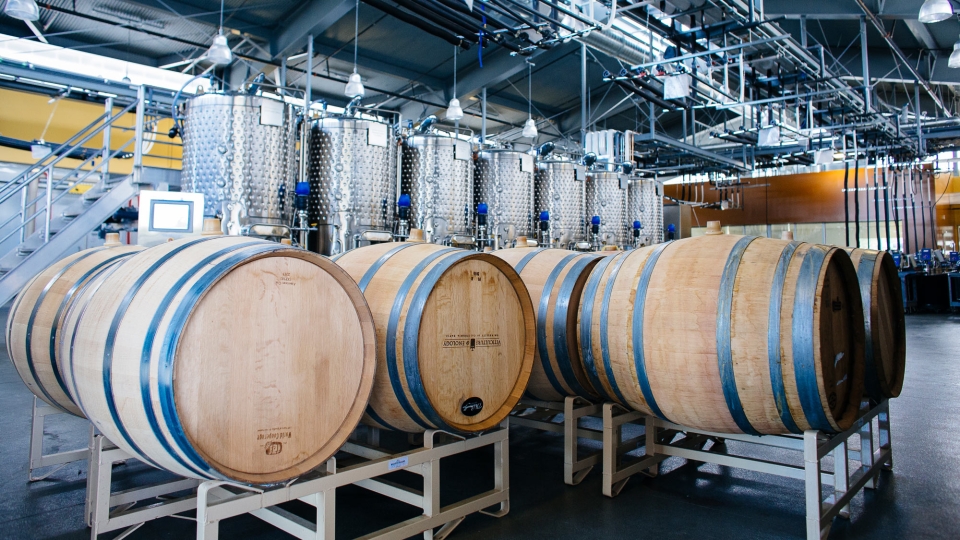 Wine being poured at the Robert Mondavi Institute for Wine and Food Science.