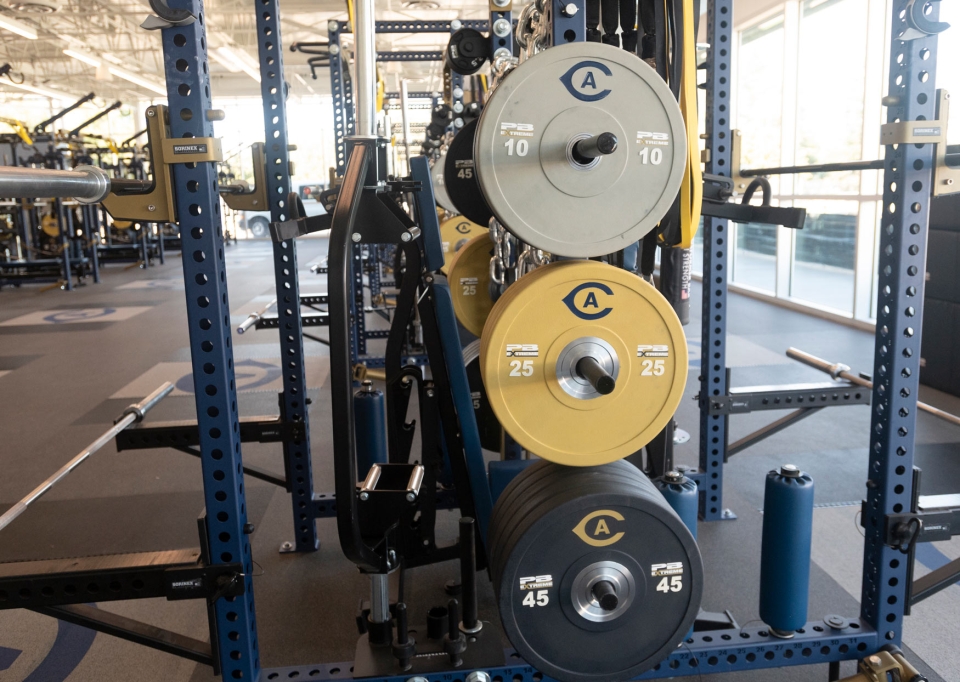 Set of weight weight plates with UC Davis Athletics' logo