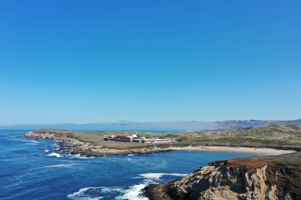 Coastline of Bodega Bay.