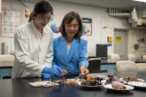 “Myco-foods” developed by Zhang (right) combine fungi with extracts from walnut and almond hulls.