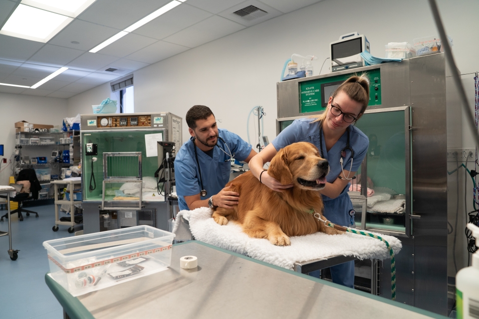 Care providers in the newly renovated emergency room saw an average of more than 900 patients a month in 2022.