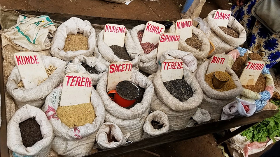 Seeds of traditional African crops for sale in large open sacks with labels.