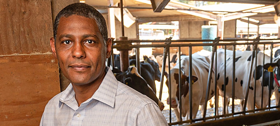 Ermias Kebreab wearing a gingham button-down shirt stands in front of the dairy barn with cows.